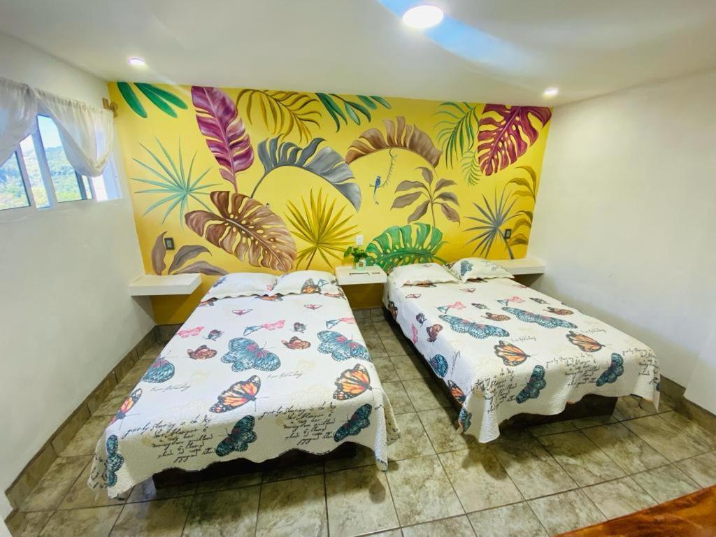 K&M Hotel Xilitla Eksteriør bilde
